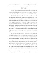 Đề tài tốt nghiệp môi trường trầm tích tầng miocene hạ mỏ tê giác bồn trũng cửu long – liên hệ môi trường trầm tích đồng bằng sông cửu long