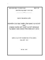 nghiên cứu một số đặc điểm lâm sàng, tế bào máu và đông máu trong sốt xuất huyết dengue ở người lớn tại bệnh viện đa khoa xanh pôn