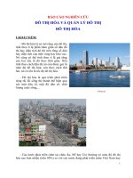 BÁO CÁO NGHIÊN CỨU ĐÔ THỊ HÓA VÀ QUẢN LÝ ĐÔ THỊ