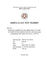 bước đầu nghiên cứu đặc điểm thực vật học của một số mẫu giống giảo cổ lam (gynostemma pentaphyllum) thu thập tại sapa – lào cai