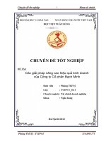 các giải pháp nâng cao hiệu quả kinh doanh của công ty cổ phần bạch minh