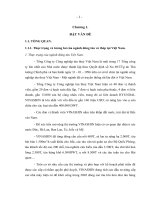 thực trạng và tương lai của ngành đóng tàu vỏ thép tại Việt Nam