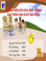 Những biến đổi hóa sinh trong quy trình sản xuất bia vàng