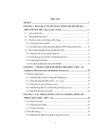 Đề tài chương trình mô phỏng một chiều AMPS – 1d