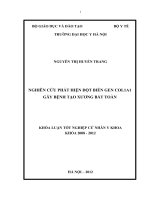 Phát hiện đột biến gen COL1A1 trên bệnh nhân tạo xương bất toàn bằng kỹ thuật PCR và giải trình tự gen
