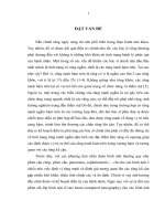 nghiên cứu đặc điểm lâm sàng và xquang của răng nanh vĩnh viễn hàm trên ngầm và tình trạng tiêu chân răng kế cận răng nanh vĩnh viễn hàm trên ngầm