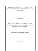 nghiên cứu giải phẫu và ứng dụng lâm sàng vạt cánh tay ngoài trong điều trị khuyết hổng phần mềm ở cổ tay và bàn tay