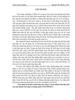 xây dựng kế hoạch marketing cho công ty trách nhiệm hữu hạn nhà nước một thành viên điện cơ thống nhất (vinawind)