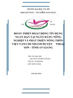 Hoàn thiện hoạt động tín dụng ngắn hạn tại ngân hàng nông nghiệp và phát triển nông thôn việt nam chi nhánh huyện thoại sơn tỉnh an giang