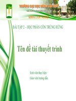 Báo cáo khoa học   bải tập 2   học phần côn trùng rừng