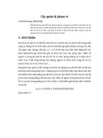 Một Số Cấu Trúc Dữ Liệu Đặc Biệt