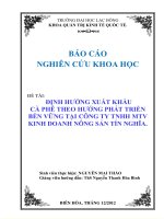 Luận văn quản trị kinh doanh định hướng xuất khẩu cà phê theo hướng phát triển bền vững tại công ty tnhh mtv kinh doanh nông sản tín nghĩa