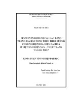 Sự chuyển dịch cơ cấu lao động trog địa bàn nông thôn theo hướng công nghiệp hóa, hiện đại hóa ở Việt Nam hiện nay. Thực trạng và giải pháp