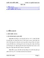 Xây dựng chiến lược kinh doanh cho thương hiệu TOY R US