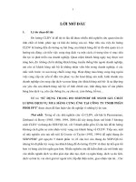 SỬ  DỤNG THANG ĐO SERVPERF ĐỂ ĐÁNH GIÁ CHẤT LƯỢNG DỊCH VỤ MUA HÀNG CUNG ỨNG TẠI CÔNG TY TNHH PHÂN PHỒI FPT