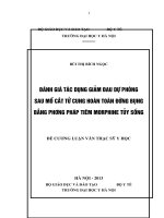 đánh giá tác dụng giảm đau dự phòng sau mổ cắt tử cung hoàn toàn đường bụng bằng phương pháp tiêm morphine tủy sống