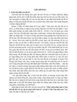 Thực hiện pháp luật về thu hồi đất đối với các dự án phát triển kinh tế   xã hội ở việt nam hiện nay (tóm tắt)