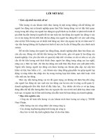 công tác kế toán tiền lương và các khoản trích theo lương tại công ty tnhh nam thuận