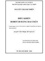 LUẬN ÁN  THẠC SĨ điều khiển robot đi bằng hai chân