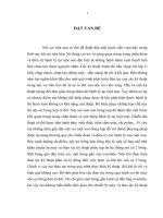 nghiên cứu giá trị của nội soi ruột non bóng đơn trong chẩn đoán bệnh lý ruột non