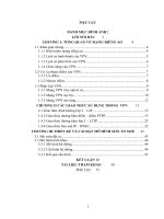 Báo Cáo THực Tập Cơ Sở mô hình VPN