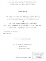 Tìm hiểu các kiểu đột biến liên quan đến sự kháng fluoroquinolone ở vi khuẩn lao và xác định nhanh vi khuẩn lao kháng fluoroquinolone bằng kỹ thuật real time pcr thông qua đột biến gene gyr