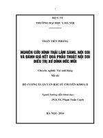 mô tả hình thái lâm sàng, nội soi, nguyên nhân xơ dính hốc mũi