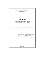 Báo cáo thực tập tổng hợp tại công ty cổ phần đào tạo và tư vấn truyền thông AAA