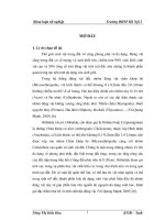 Nghiên cứu sự biến động thành phần loài ve giáp (Acari Oribatida) ở khu công nghiệp Phúc Yên và phụ cận thuộc thị xã Phúc Yên tỉnh Vĩnh Phúc