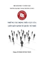 Các tác động tiêu cực của liên kết kinh tế quốc tế nhỏ