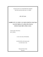 Nghiên cứu cấu trúc rừng ngập mặn tại cồn trong cửa sông ông trang, huyện ngọc hiển, tỉnh cà mau