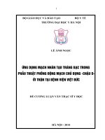 ứng dụng mạch nhân tạo tráng bạc trong phẫu thuật phồng động mạch chủ bụng-chậu dưới thận tại bệnh viện việt đức