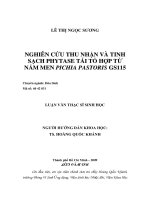 Nghiên cứu thu nhận và tinh sạch phytase tái tổ hợp từ nấm men pichia pastoris gs115