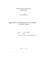 Đề tài nghiên cứu tổng hợp xeton từ eleutherol và benzoyl clorua