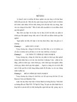 Một số tính chất của phân tử và của iđêan chính quy khả nghịch