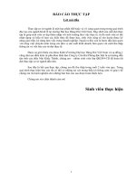 báo cáo thực tập tại công ty cân hải phòng