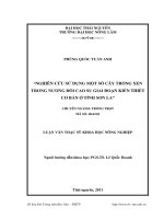 nghiên cứu sử dụng một số cây trồng xen trong nương đồi cao su giai đoạn kiến thiết cơ bản ở tỉnh sơn la