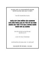 Khảo sát ảnh hưởng của cadmium lên kiểu phân loại và tần số sai hình nhiễm sắc thể ở tế bào lympho người chiếu bức xạ gamma