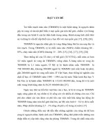 đánh giá vai trò của thuốc kháng kết tập tiểu cầu ticagrelor trong điều trị tai biến nhồi máu não giai đoạn cấp