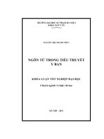 Ngôn từ trong tiểu thuyết Y Ban