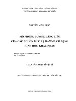 Mô phỏng đường đẳng liều của các nguồn bức xạ gamma có dạng hình học khác nhau