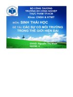 Đề tài   các sự cố môi trường trong thế giới hiện đại