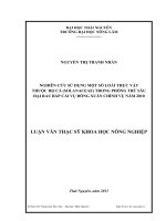 nghiên cứu sử dụng một số loài thực vật thuộc họ cà (solanaceae) trong phòng trừ sâu hại rau bắp cải đông xuân chính vụ năm 2010 tại đồng hỷ - thái nguyên