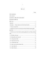 Xác định thành phần hóa học cơ bản và khả năng ứng dụng của nước ót đồng muối quỳnh lưu