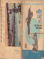 Miền đất võ  Võ Tây Sơn Bình Định