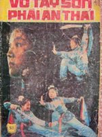 Võ Tây Sơn Phai An Thái