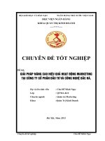 giải pháp nâng cao hiệu quả hoạt động marketing tại công ty cổ phần đầu tư và công nghệ bắc hà