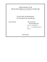 Kế toán tiêu thụ thành phẩm  và xác định kết quả kinh doanh tại chi nhánh công ty cổ phần tập đoàn hoa sen