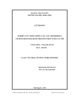 nghiên cứu nhân giống cây gấc (momordica cochinchinensis) bằng phương pháp nuôi cấy mô
