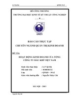 báo cáo thực tập chuyên ngành quản trị kinh doanh hoạt động kinh doanh của tổng công ty dầu khí việt nam